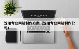 防城港沈阳专业网站制作方案（沈阳专业网站制作公司）